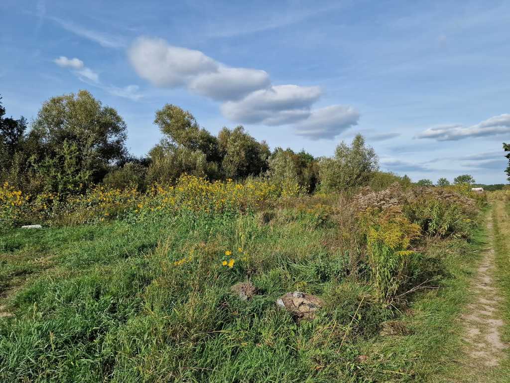 Działka na sprzedaż Starościn 1 286 m2 | Arka Nieruchomości