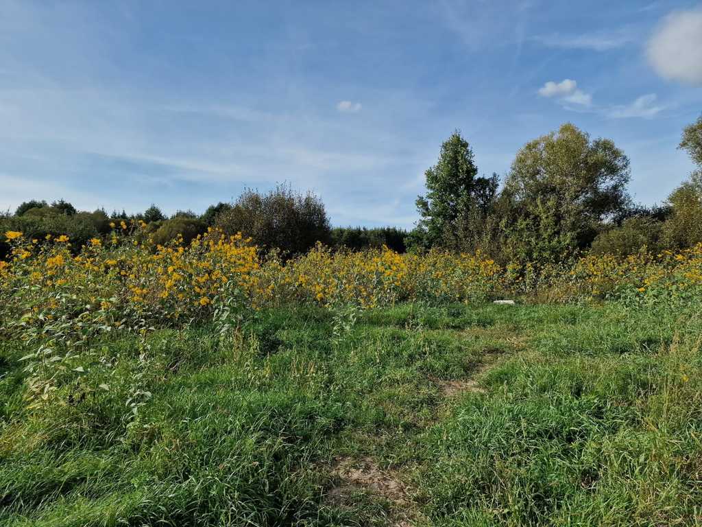 Działka na sprzedaż Starościn 1 286 m2 | Arka Nieruchomości