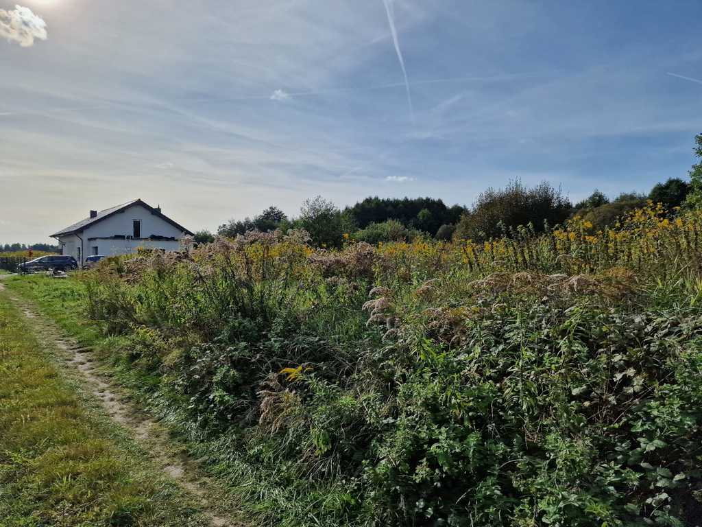 Działka na sprzedaż Starościn 1 286 m2 | Arka Nieruchomości