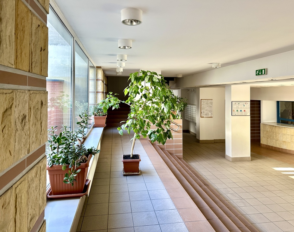 Mieszkanie na wynajem Szczecin, Centrum 44 m2 | Arka Nieruchomości