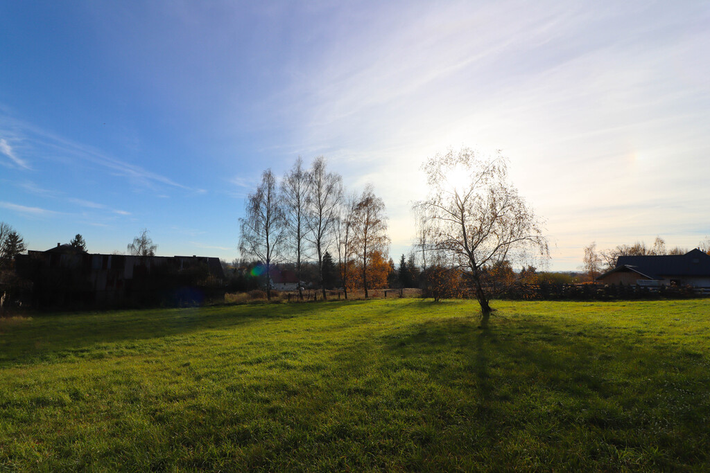 Urokliwa działka przy lesie