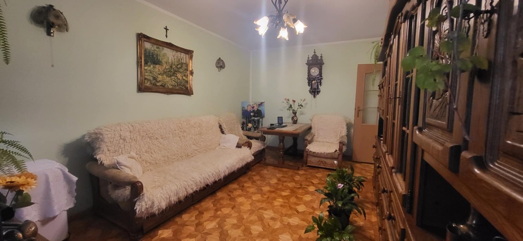 Oferta: 4860/6038/OMS