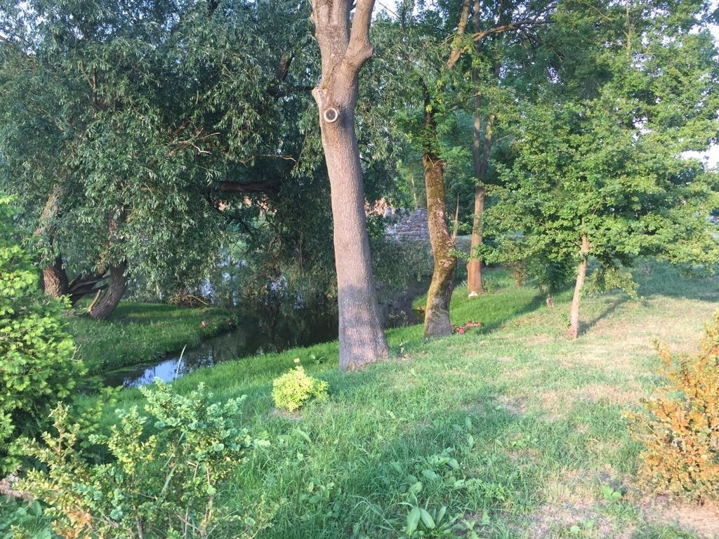 Mieszkanie na wynajem Skarbimierzyce 59 m2 | Arka Nieruchomości