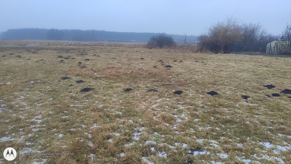 Działka na sprzedaż Sławoszewo 1 222 m2 | Arka Nieruchomości