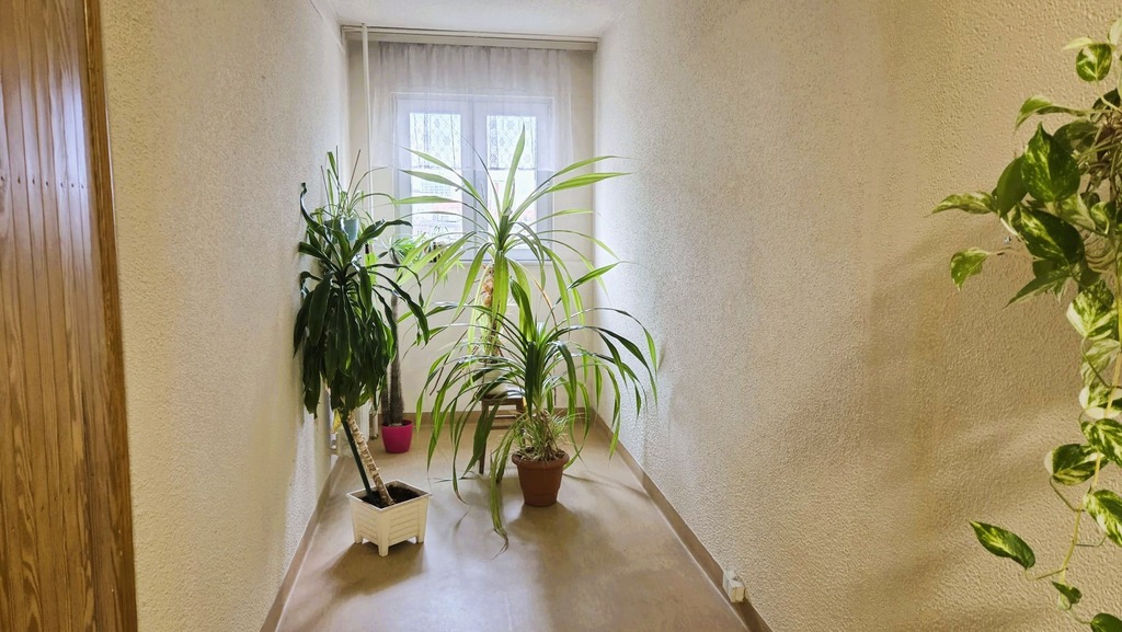 Mieszkanie na sprzedaż Szczecin, Śródmieście 59 m2 | Arka Nieruchomości