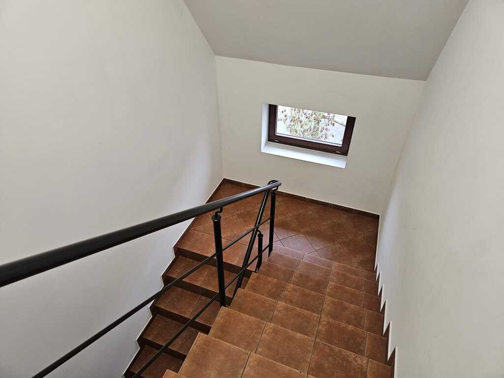 Lokal na wynajem Szczecin, Centrum 125 m2 | Arka Nieruchomości