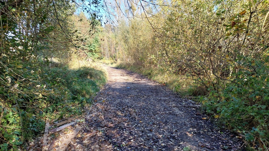 Działka na sprzedaż Drawno 13 451 m2 | Arka Nieruchomości