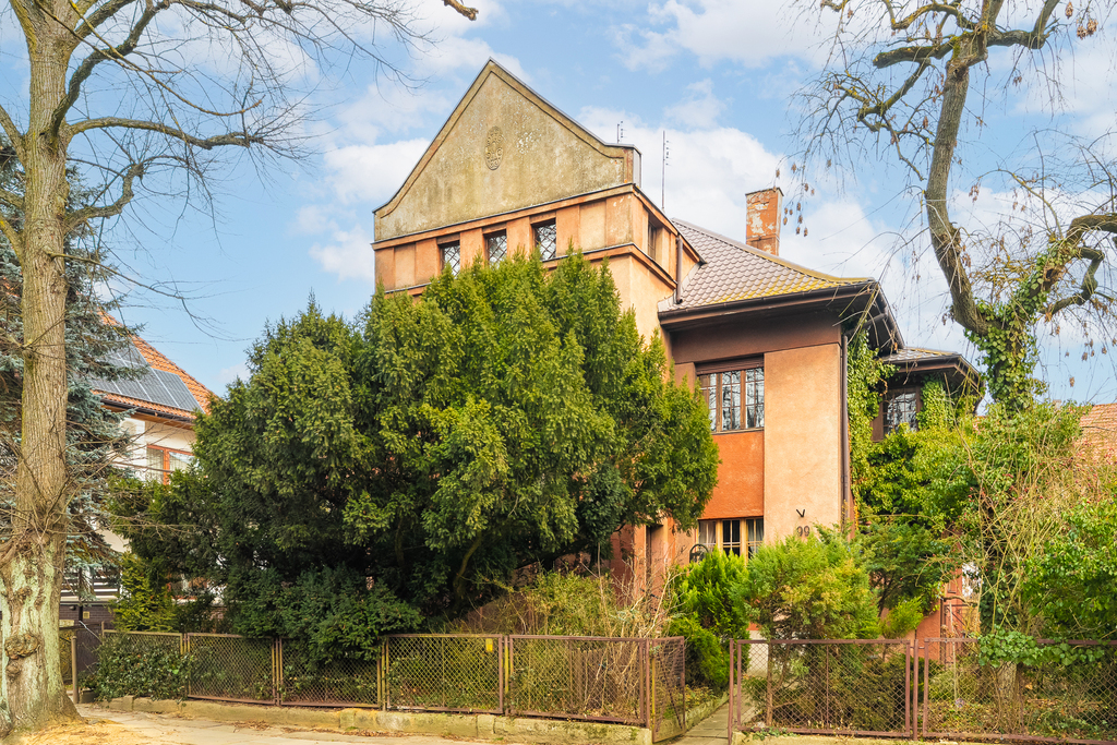 Zdjęcie 17
