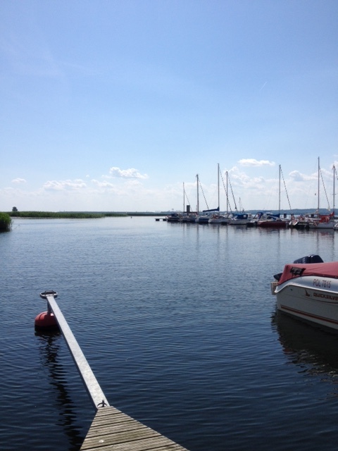 Działka na sprzedaż Lubczyna 1 538 m2 | Arka Nieruchomości