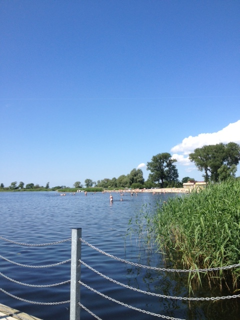 Działka na sprzedaż Lubczyna 1 403 m2 | Arka Nieruchomości