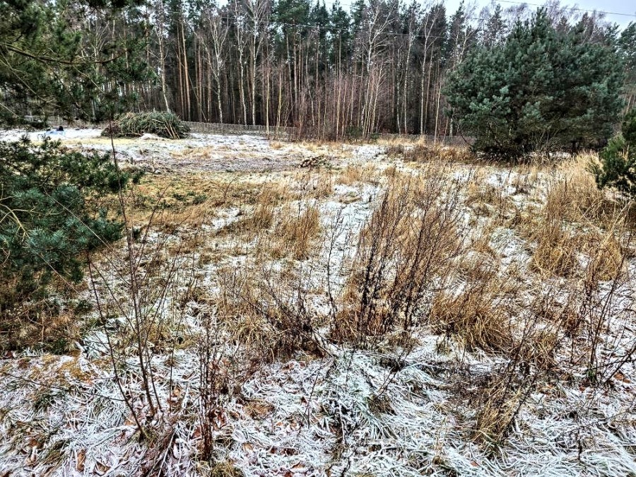 Działka na sprzedaż Dargobądz 3 000 m2 | Arka Nieruchomości