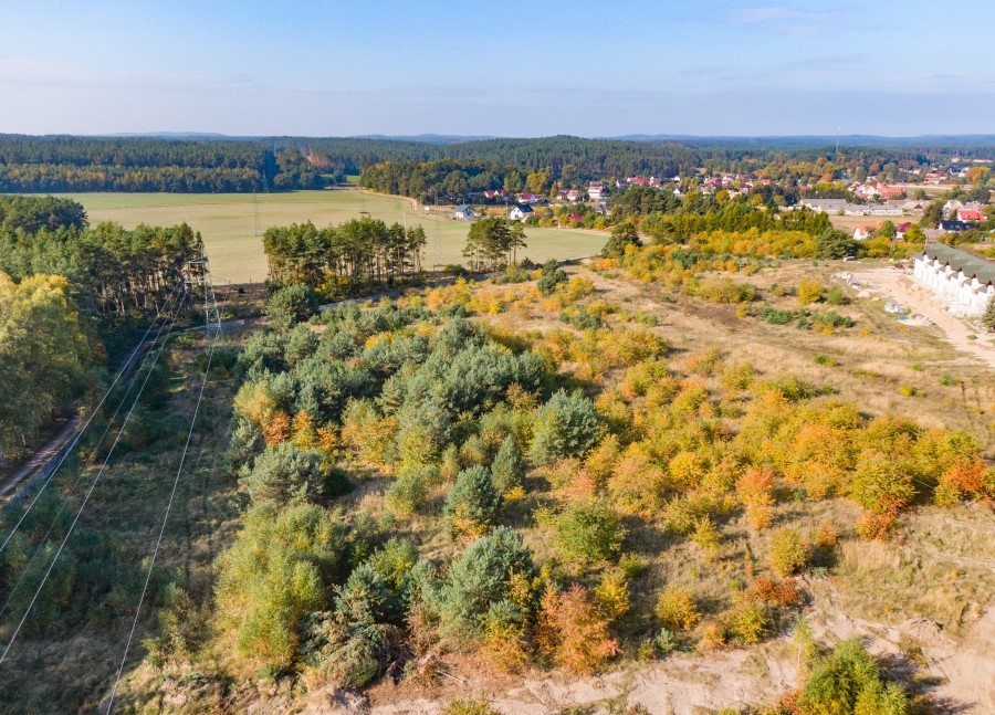 Działka na sprzedaż Dargobądz 3 000 m2 | Arka Nieruchomości