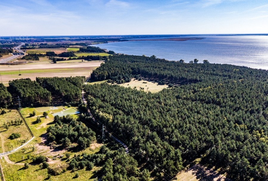 Działka na sprzedaż Dargobądz 3 000 m2 | Arka Nieruchomości