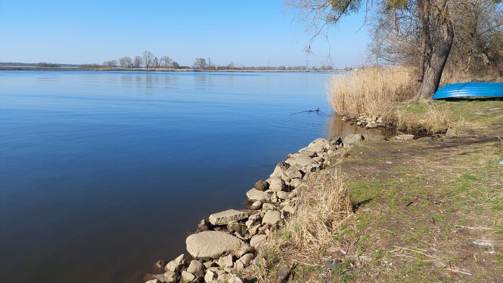 Dom na sprzedaż Widuchowa 180 m2 | Arka Nieruchomości
