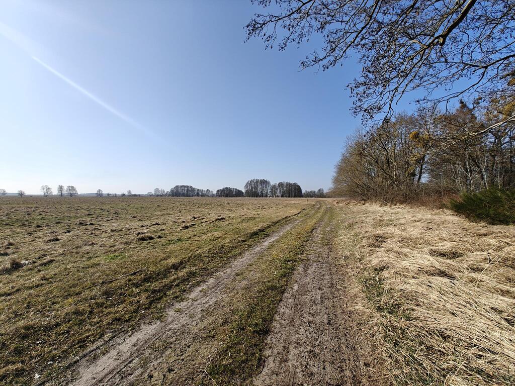 Działka na sprzedaż Stepnica 566 458 m2 | Arka Nieruchomości