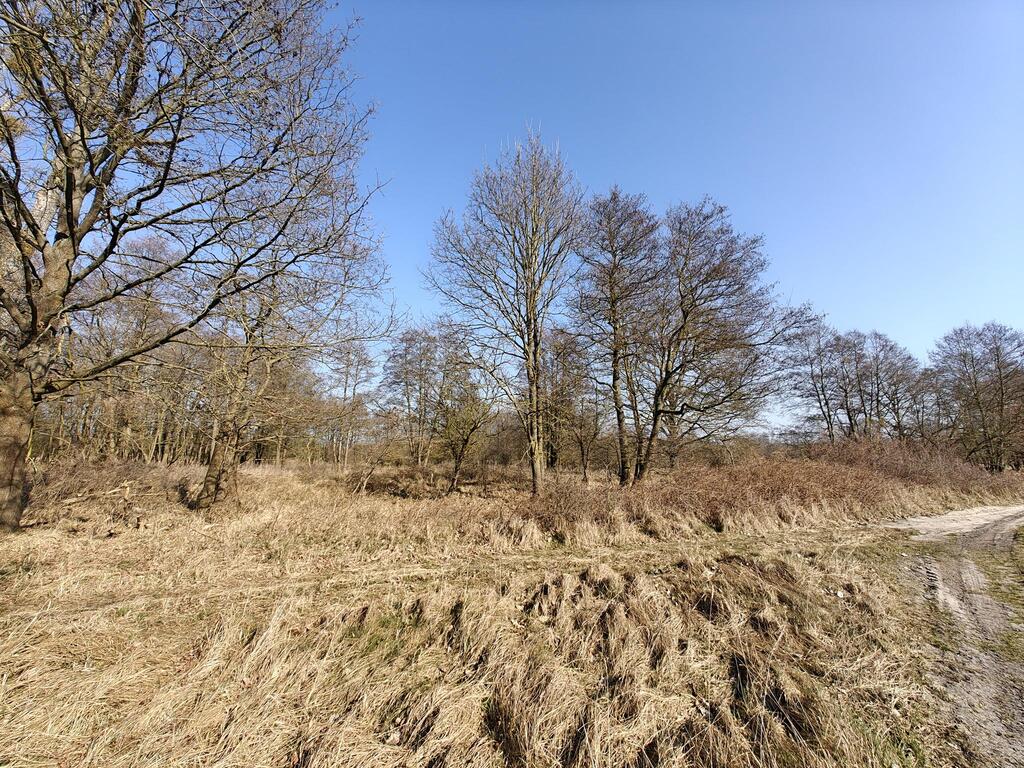 Działka na sprzedaż Stepnica 566 458 m2 | Arka Nieruchomości