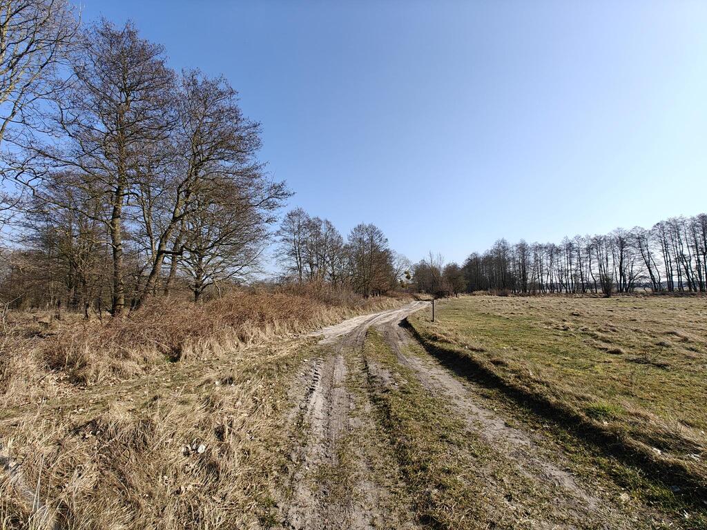 Działka na sprzedaż Stepnica 566 458 m2 | Arka Nieruchomości