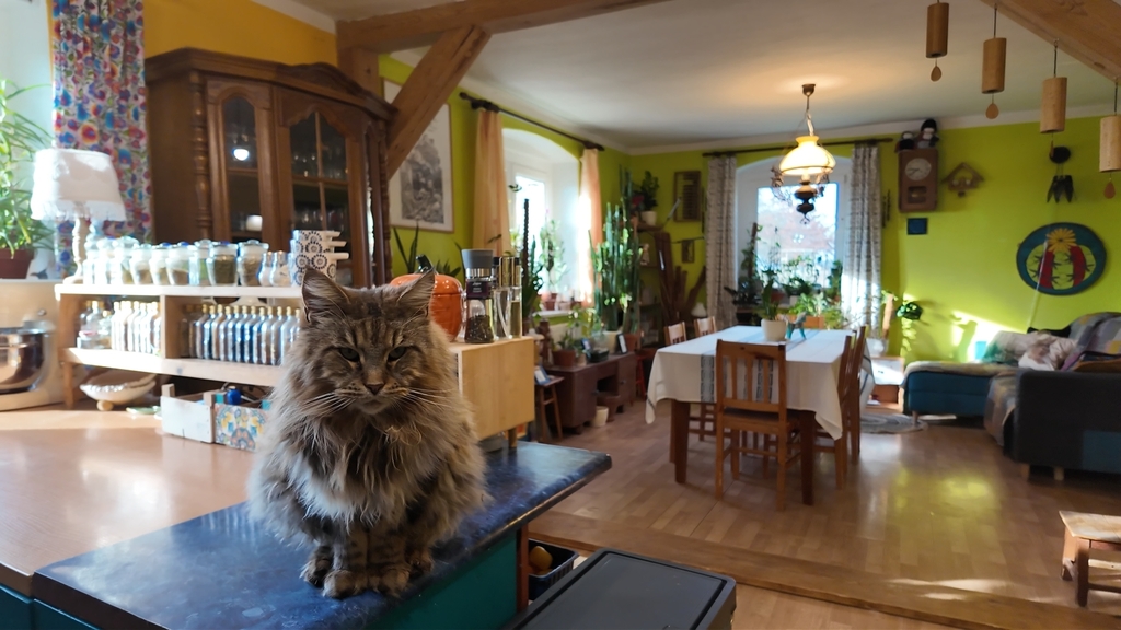 Dom na sprzedaż Ukiernica 300 m2 | Arka Nieruchomości