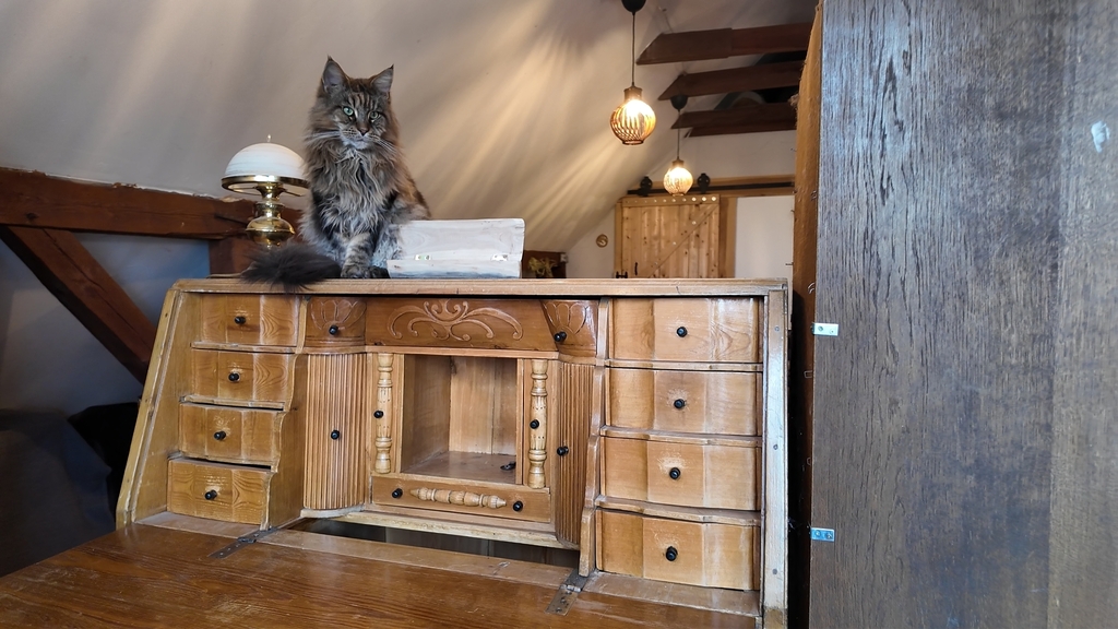 Dom na sprzedaż Ukiernica 300 m2 | Arka Nieruchomości