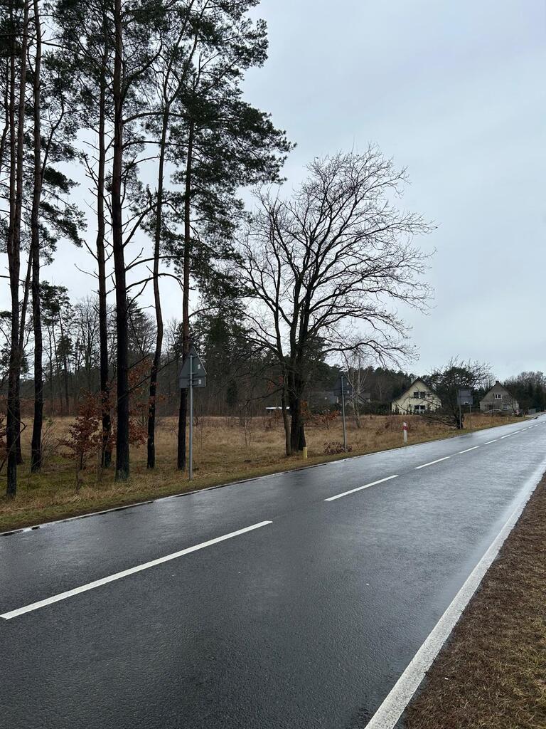 Działka na sprzedaż Brzózki 2 337 m2 | Arka Nieruchomości