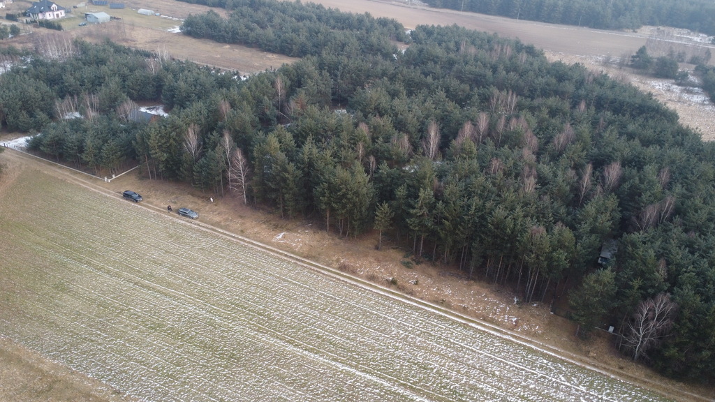 Działki budowlane w Drogoszowicach, Twardogóra