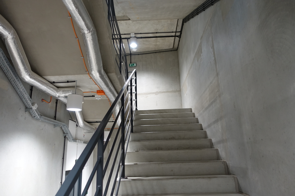 Lokal na wynajem Dołuje 184 m2 | Arka Nieruchomości