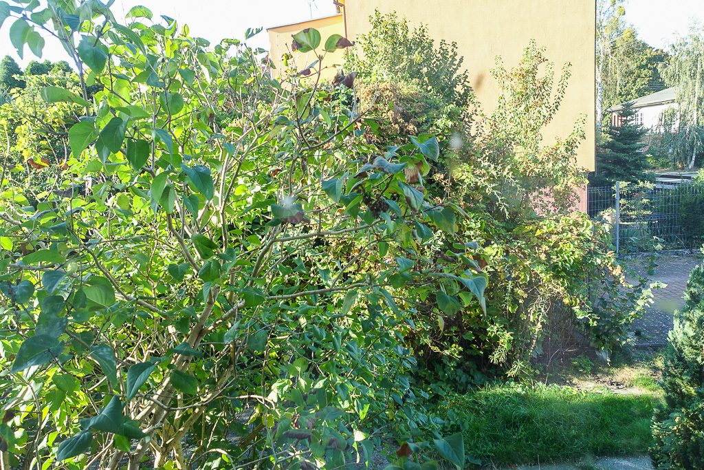 Mieszkanie na sprzedaż Szczecin, Dąbie 101 m2 | Arka Nieruchomości