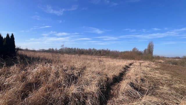 Działka na sprzedaż Mierzyn 1 110 m2 | Arka Nieruchomości
