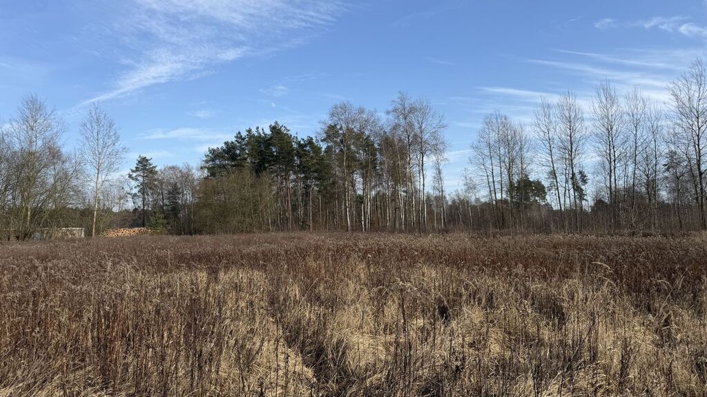 Działka na sprzedaż Żółwia Błoć 1 552 m2 | Arka Nieruchomości