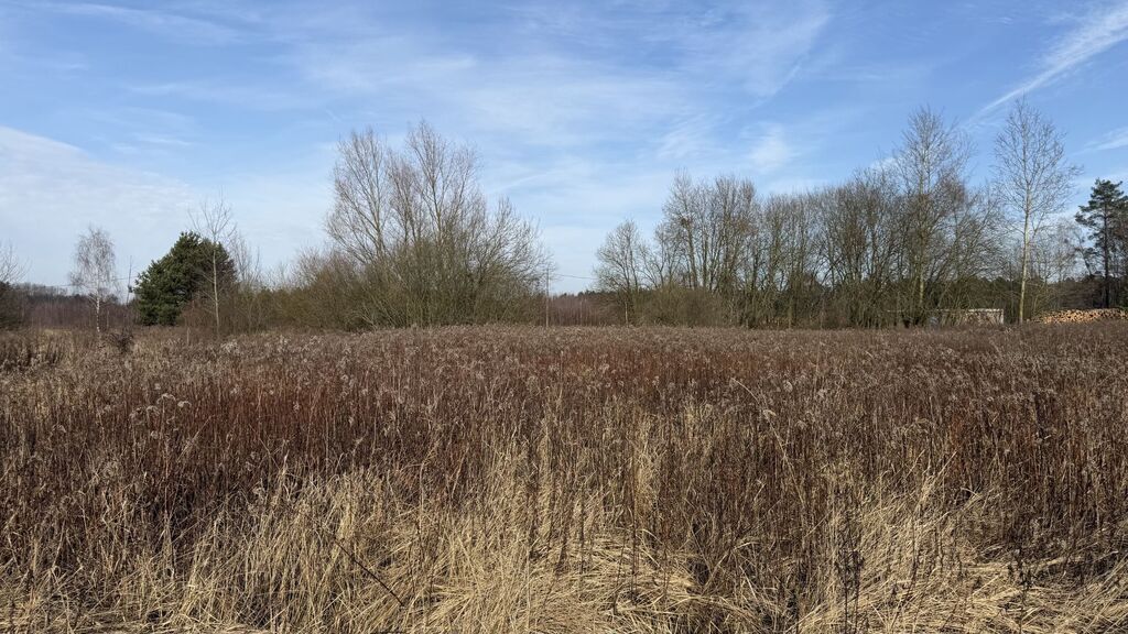 Działka na sprzedaż Żółwia Błoć 1 552 m2 | Arka Nieruchomości