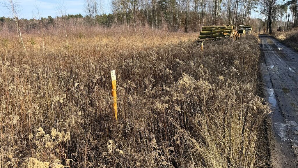 Działka na sprzedaż Żółwia Błoć 1 552 m2 | Arka Nieruchomości
