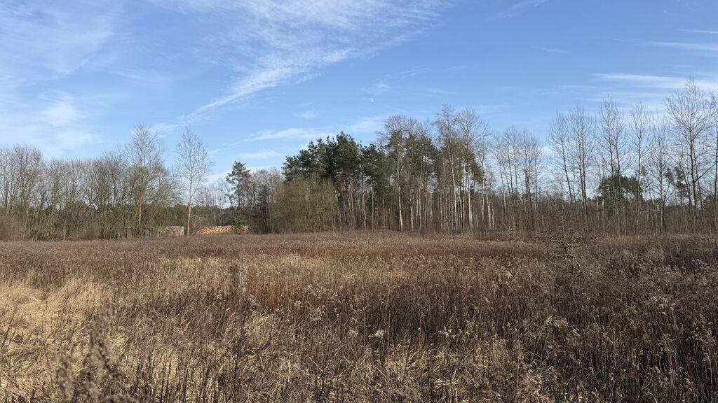 Działka na sprzedaż Żółwia Błoć 1 552 m2 | Arka Nieruchomości