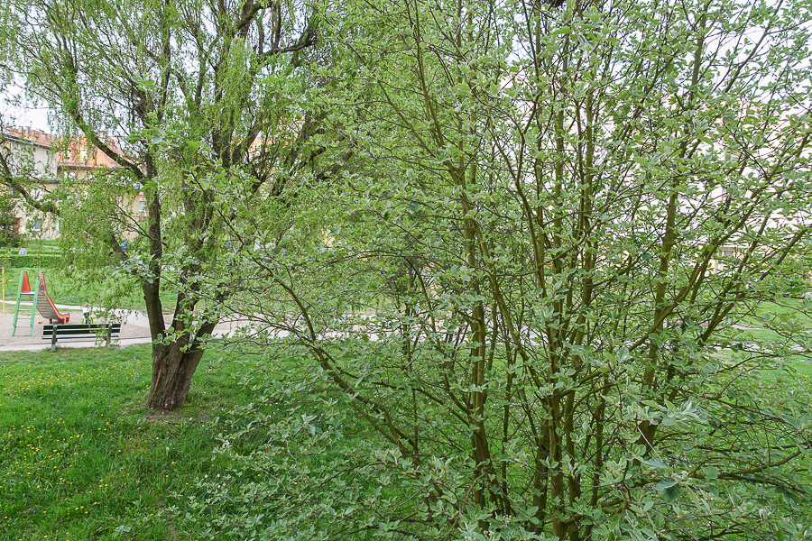 Mieszkanie na wynajem Szczecin, Książąt Pomorskich 46 m2 | Arka Nieruchomości