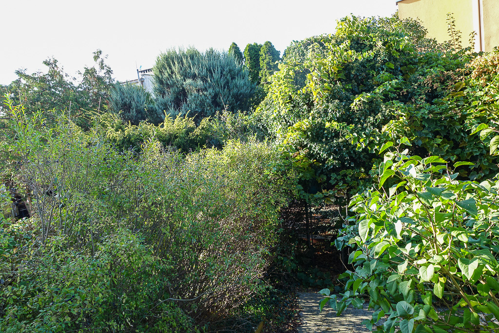 Mieszkanie na sprzedaż Szczecin, Dąbie 101 m2 | Arka Nieruchomości