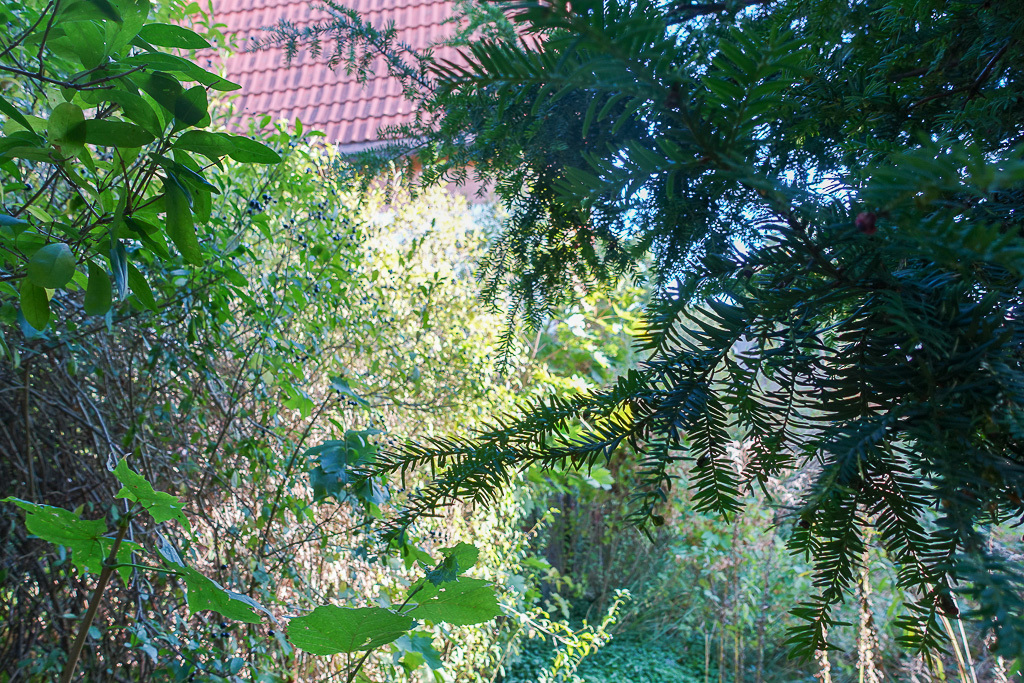 Mieszkanie na sprzedaż Szczecin, Dąbie 101 m2 | Arka Nieruchomości