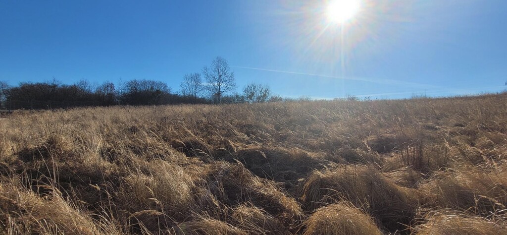 Działka na sprzedaż Szczecin, Stołczyn 802 m2 | Arka Nieruchomości