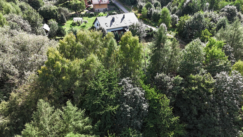 Niezwykła działka budowlana z własnym lasem