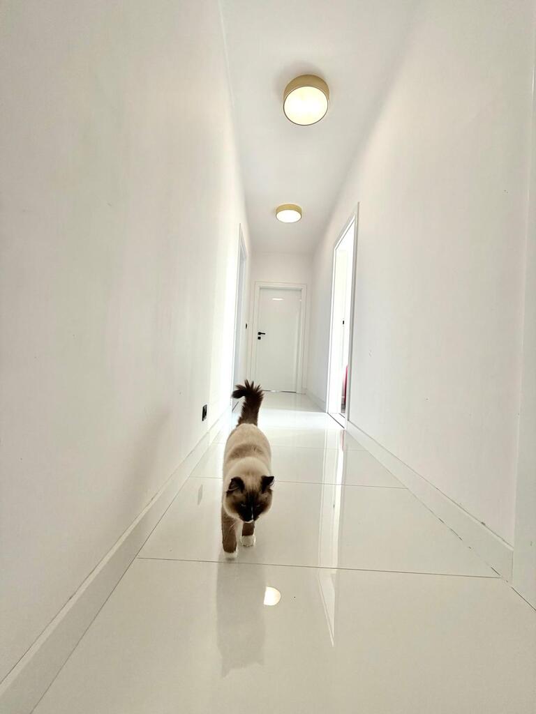 Dom na sprzedaż Szczecin, Załom 175 m2 | Arka Nieruchomości