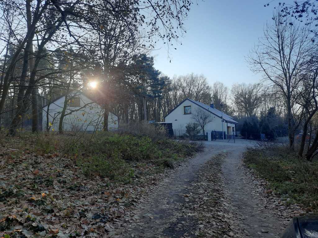 Działka na sprzedaż Czepino 1 059 m2 | Arka Nieruchomości