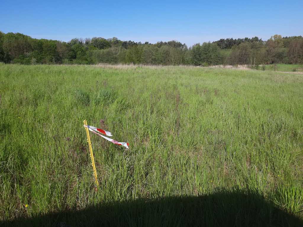 Działka na sprzedaż Czepino 1 059 m2 | Arka Nieruchomości