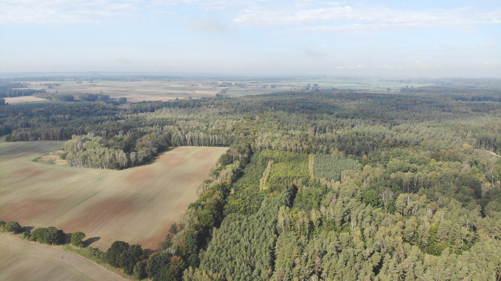 Działka na sprzedaż Rów 6 200 m2 | Arka Nieruchomości