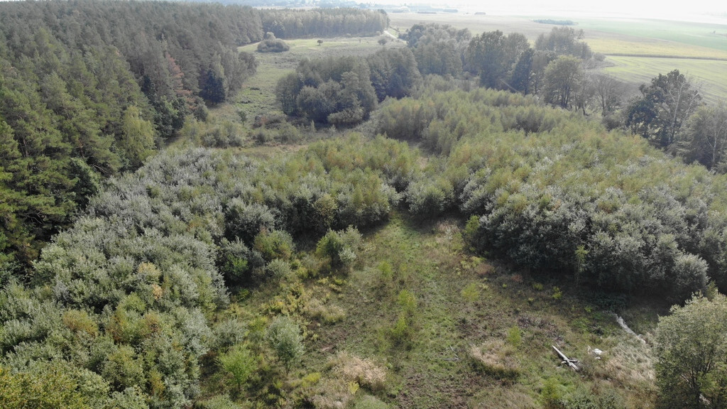 Działka na sprzedaż Rów 6 200 m2 | Arka Nieruchomości