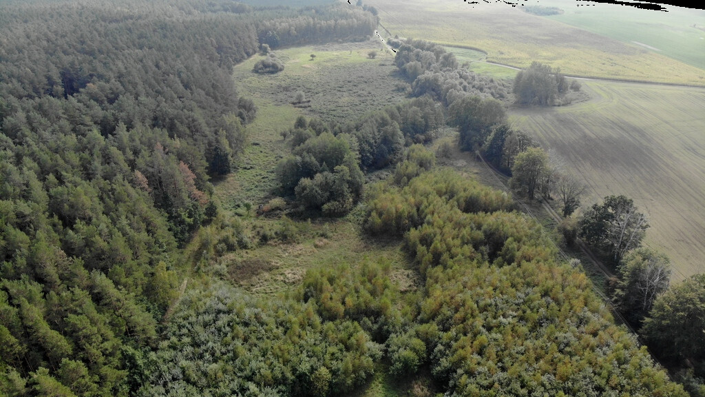 Działka na sprzedaż Rów 6 200 m2 | Arka Nieruchomości