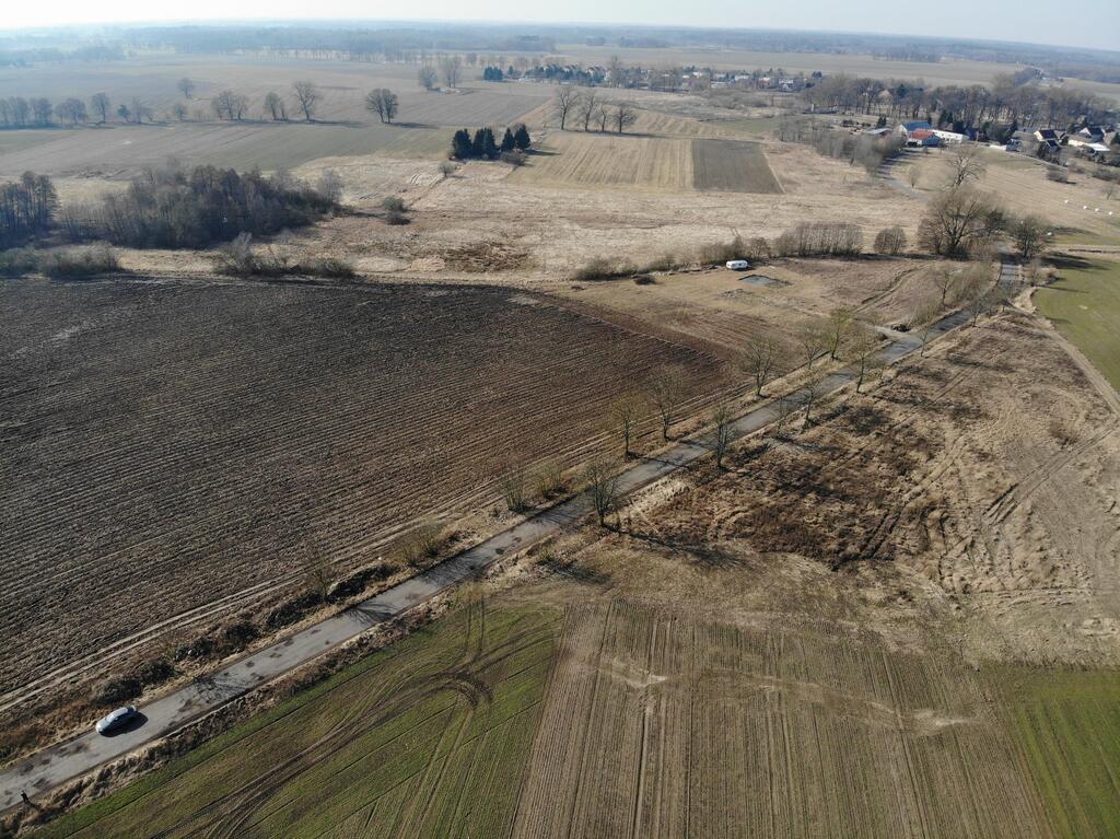 Działka na sprzedaż Dębice 2 923 m2 | Arka Nieruchomości