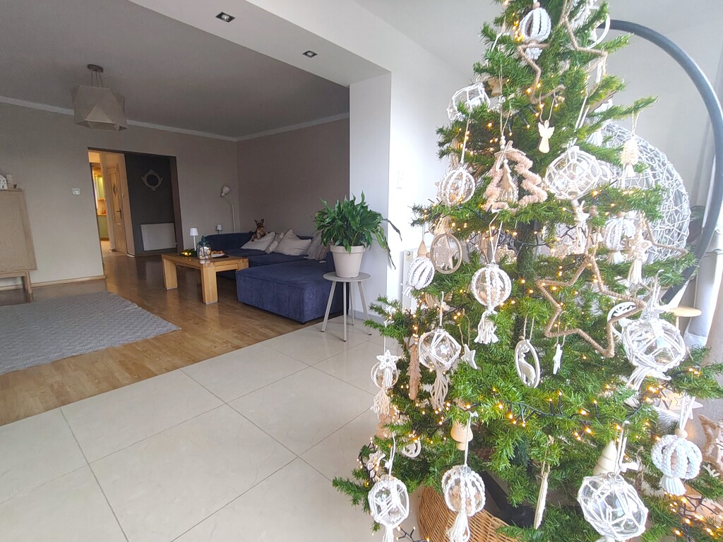 Dom na sprzedaż Maszewo 265 m2 | Arka Nieruchomości