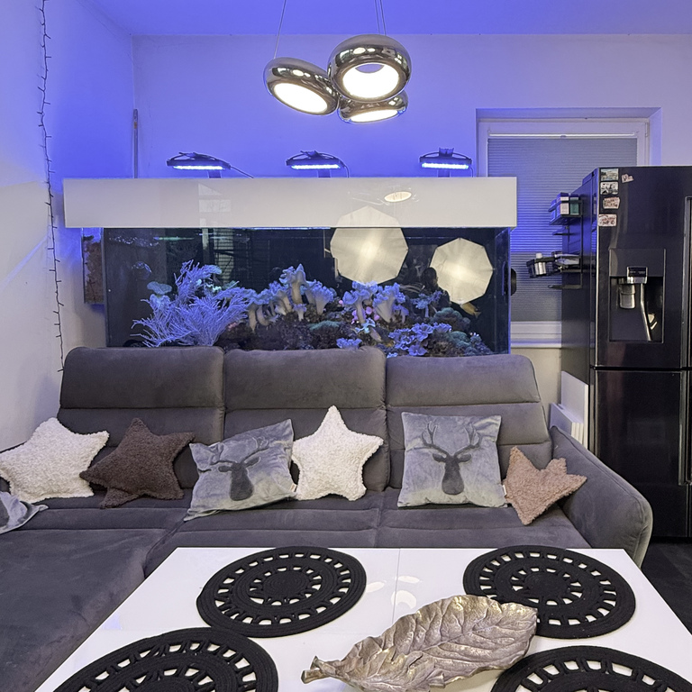 Dom na sprzedaż Pucice 151 m2 | Arka Nieruchomości