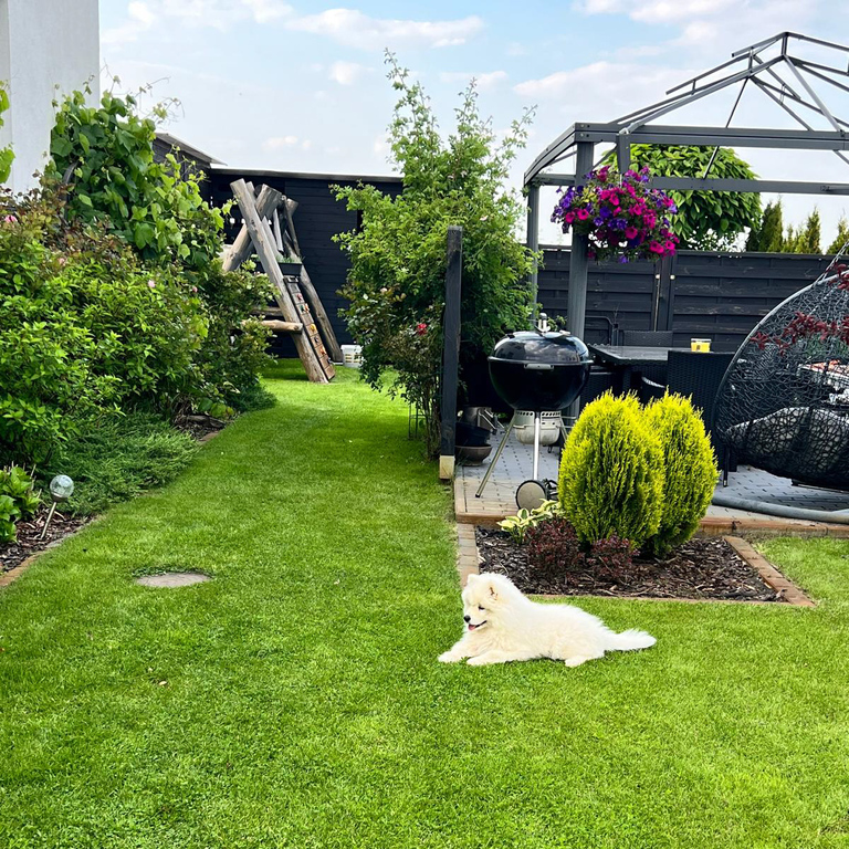 Dom na sprzedaż Pucice 151 m2 | Arka Nieruchomości