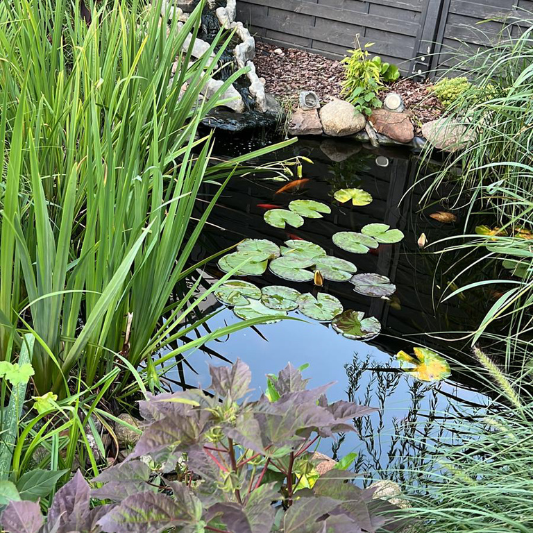 Dom na sprzedaż Pucice 151 m2 | Arka Nieruchomości