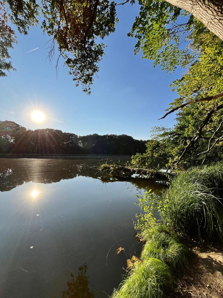 Działka na sprzedaż Wisławie 2 304 m2 | Arka Nieruchomości