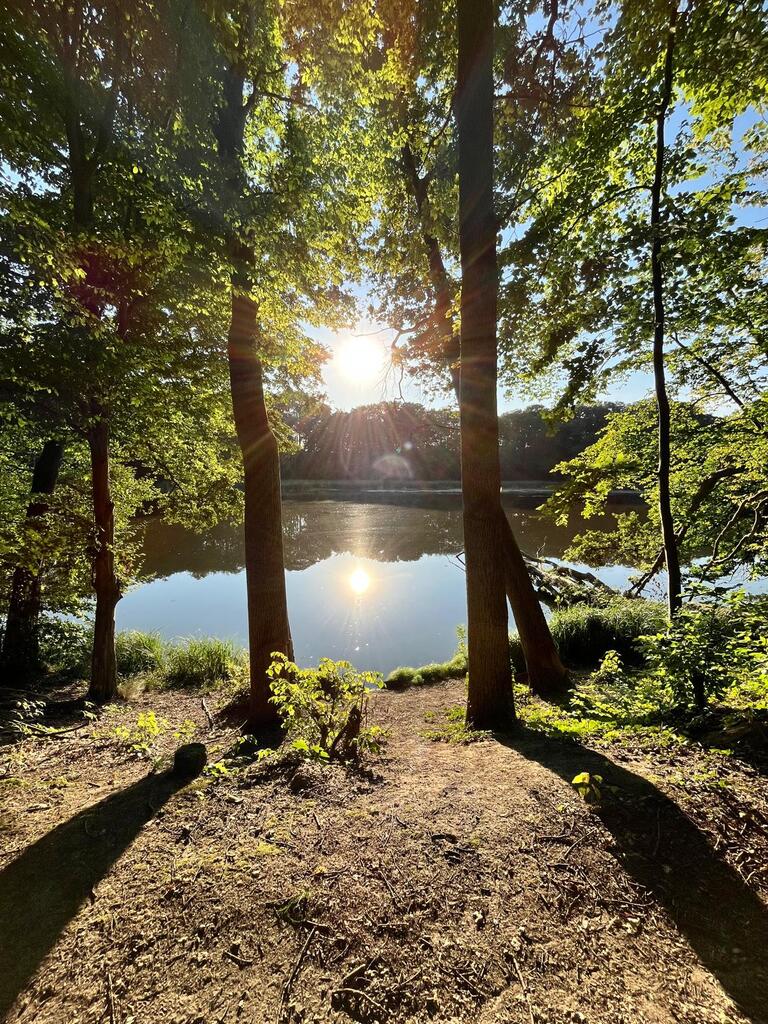 Działka na sprzedaż Wisławie 2 304 m2 | Arka Nieruchomości